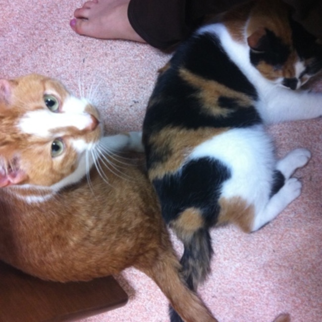 2992222のカバー写真