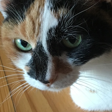 奇跡の一枚。普段写真写り悪すぎる…