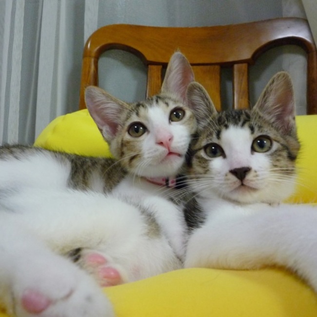 yamato.のカバー写真