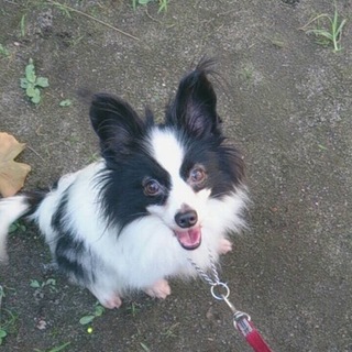 応募者多数の為、募集を一旦終了させていただきます