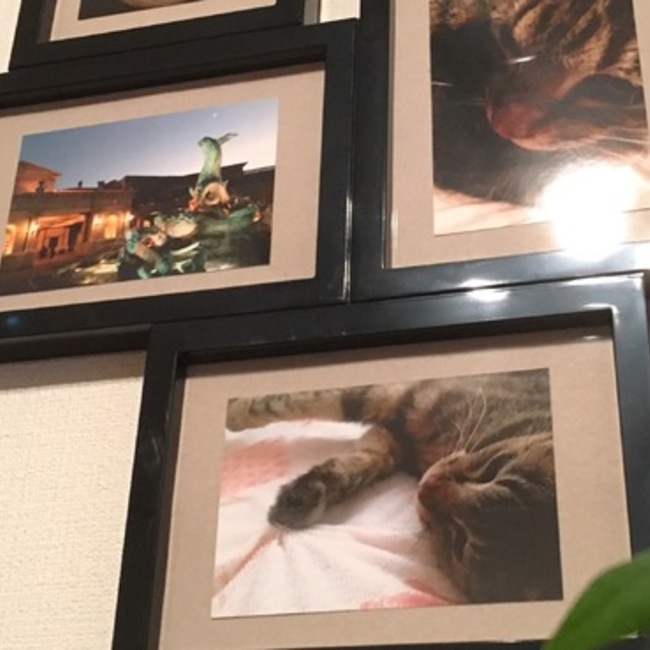 そよにしのカバー写真