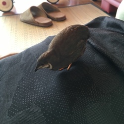 「ここ、オレのぢんち！」サムネイル2