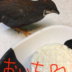 「ここ、オレのぢんち！」サムネイル3