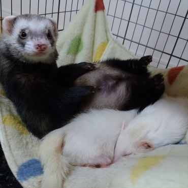 ライトとムー。仲良し☆