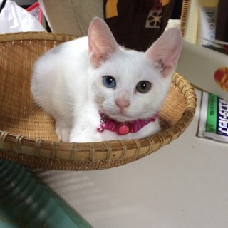 元気いっぱい！生後三か月ほどの男の子