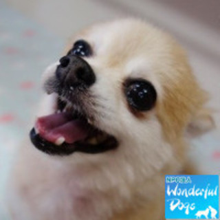 「はいからさん」♀