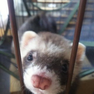 応募多数のため、一旦募集を中止させていただきます。