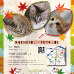 ねこざんまい譲渡会in東日本橋