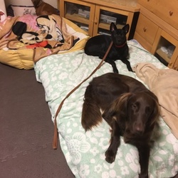 「3カ月、経ちました。」サムネイル3