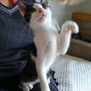 人が好き過ぎる男の子