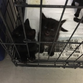 センターよりみんな引き出されました！