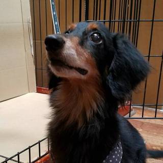 この子を助けてください。