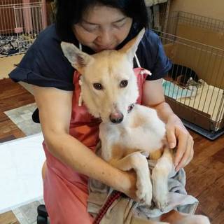 この子を助けてください。