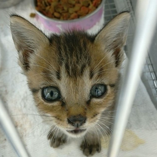 里親決定！！家族ができました(*´▽｀*)