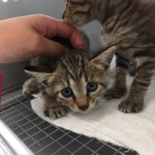 兄弟で迎えていただきました(*´▽｀*)