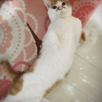 つむぎ