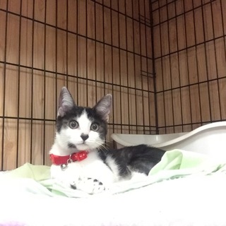 ありがとうございました