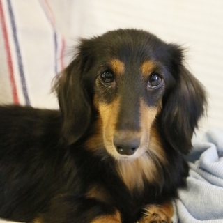 良いご縁に繋がりました。