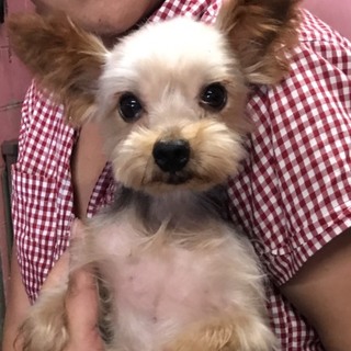 ♂302 里親募集です！