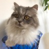 磨呂坊 さん