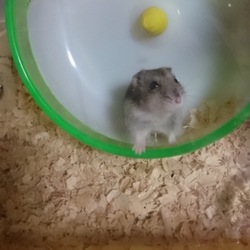 お久しぶりです