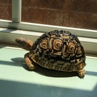 三十日(ミソカ)