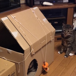 「しかまろハウス」サムネイル1