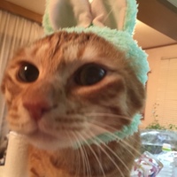 サン