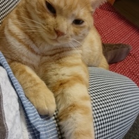 河合　むぅたろう