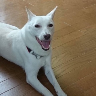 大人しくて控えめな女の子サニー！