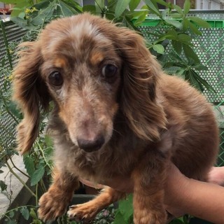 小さな海ちゃんに幸せを！