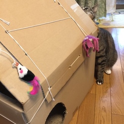 「しかまろハウス」サムネイル2