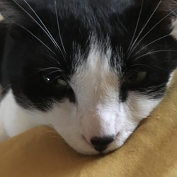 誕生日過ぎて…