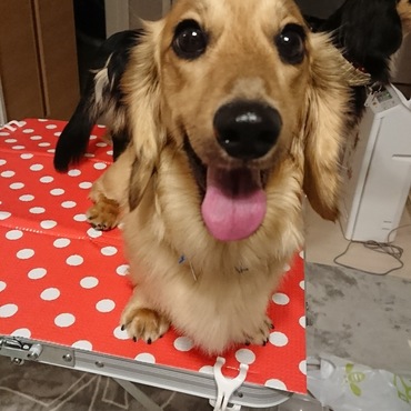 最近、まゆが濃くなってきた☆ふふ