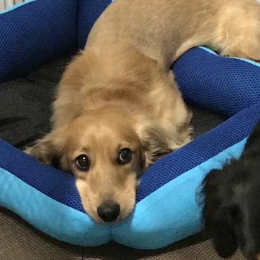 退屈で拗ねてんだよね☆お口がハムスターみたいにデローン