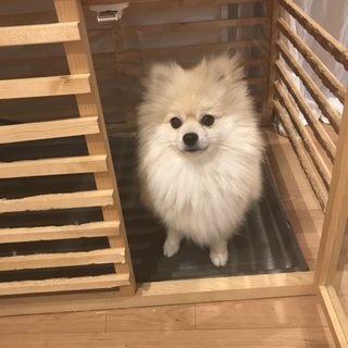 沢山の応募ありがとうございました。