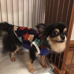 「お洋服、再び！」サムネイル1