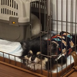 「お洋服、再び！」サムネイル2