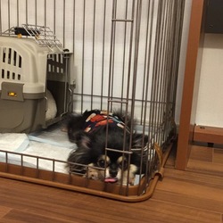 「お洋服、再び！」サムネイル3