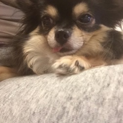 「なでなで〜♪」サムネイル2