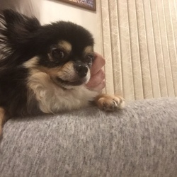 「なでなで〜♪」サムネイル3