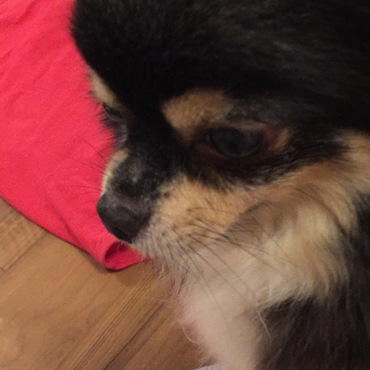 「来たけどもう帰りたい」