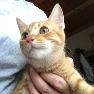 高知の G様に迎えていただきました。幸せいっぱい！