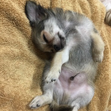 寝顔が可愛い〜〜