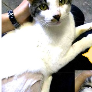 手術したので治ると思います