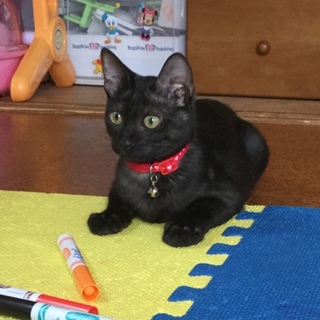 ありがとうございました