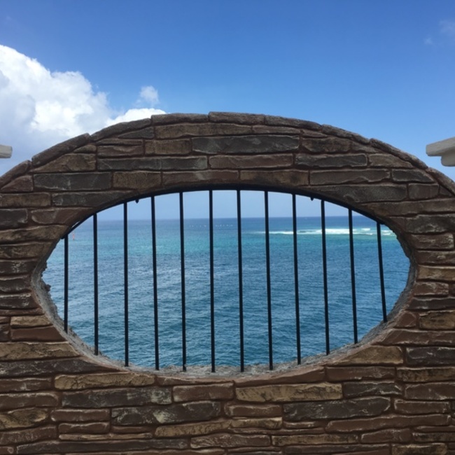 きなもちのカバー写真