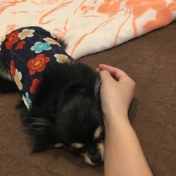 「初☆ベッド」サムネイル2