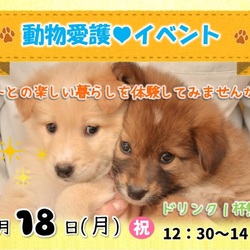動物愛護イベント