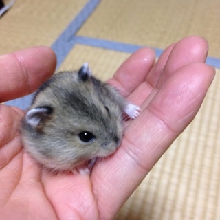 ありがとうございました。